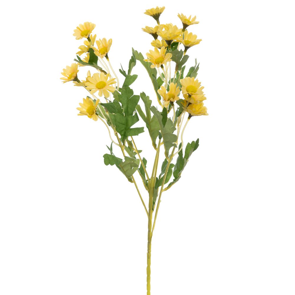 ΚΛΑΔΙ ΜΑΡΓΑΡΙΤΕΣ ΚΙΤΡΙΝΕΣ 55ΕΚ Χ5