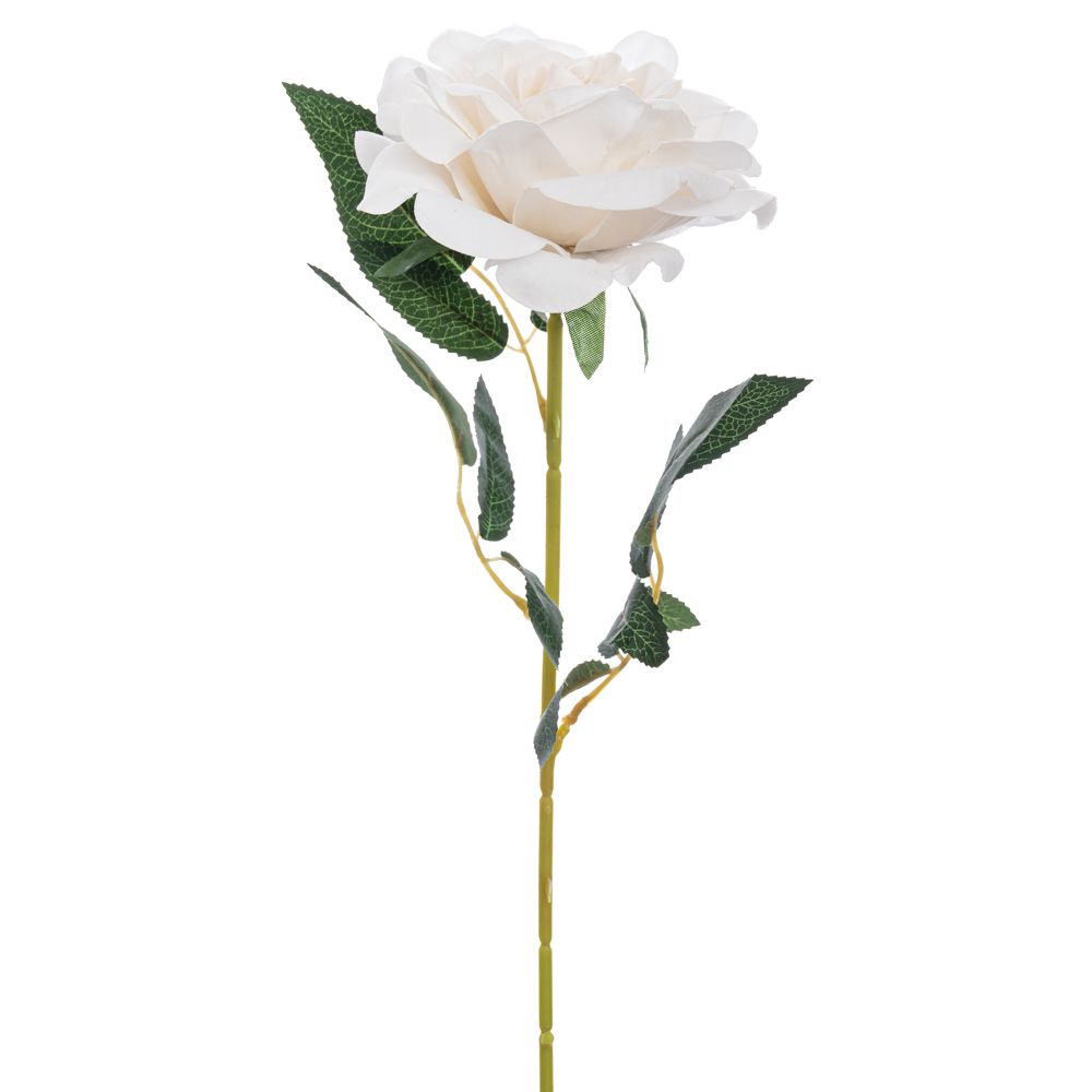 ΤΡΙΑΝΤΑΦΥΛΛΟ ΛΕΥΚΟ ΒΕΛΟΥΔΟ 72ΕΚ Χ1