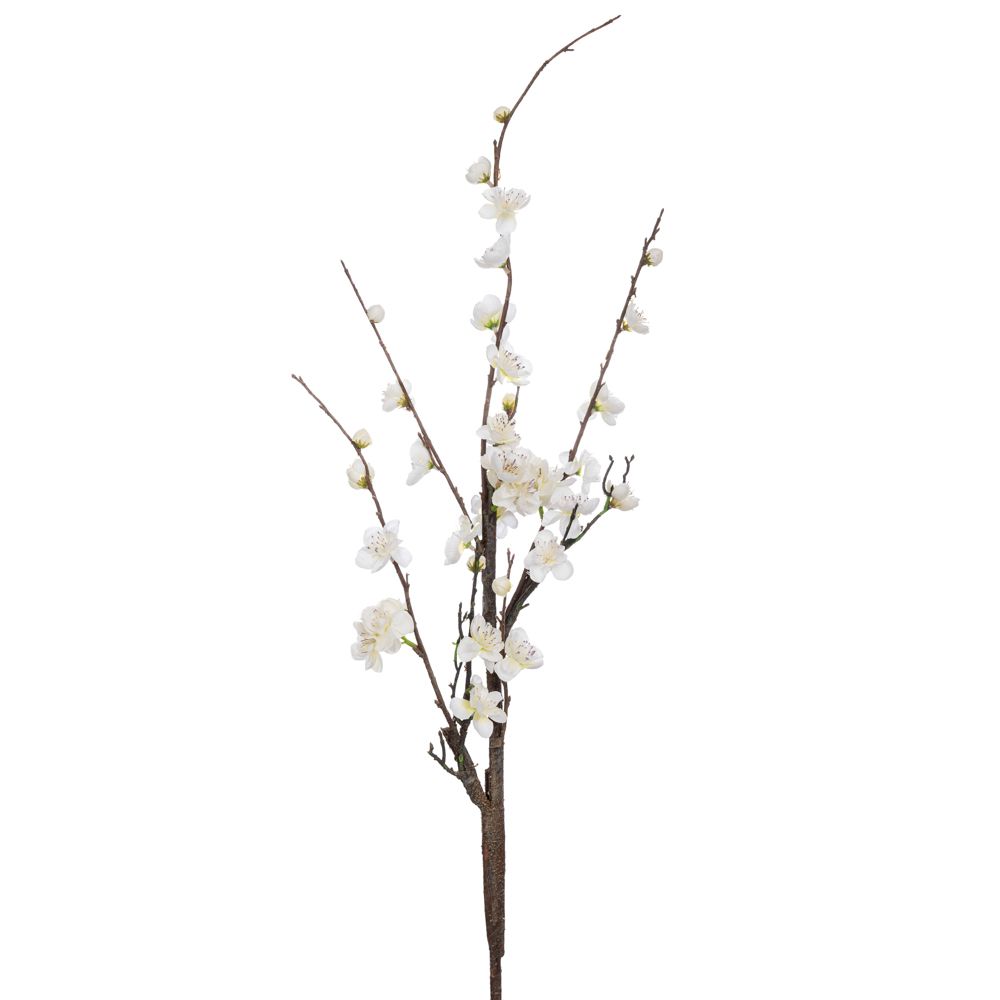 ΑΜΥΓΔΑΛΙΑ ΛΕΥΚΗ 120ΕΚ