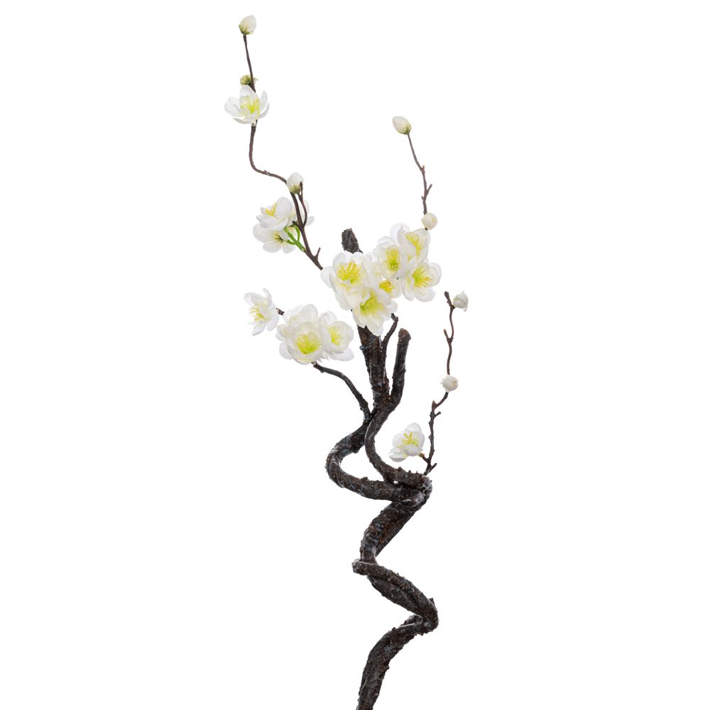 ΑΜΥΓΔΑΛΙΑ ΛΕΥΚΗ 40ΕΚ