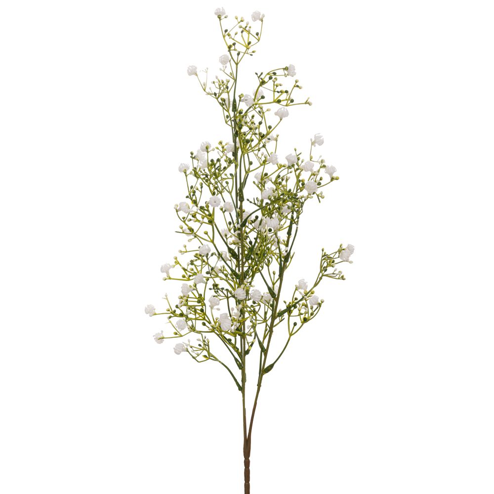 ΚΛΑΔΙ ΛΕΥΚΟ ΨΙΛΟΛΟΥΔΟ 67ΕΚ