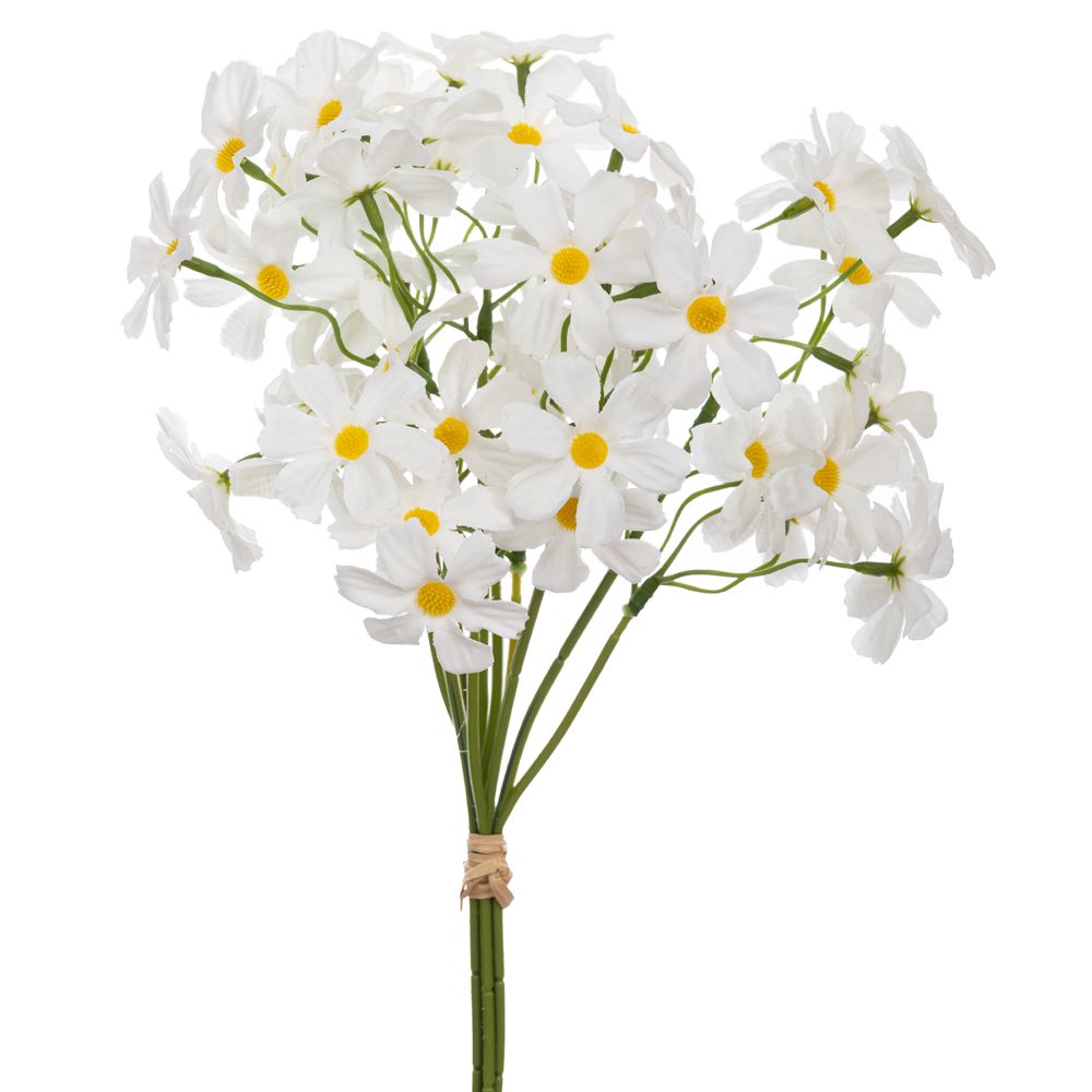 ΡΙΖΑΚΙ 26ΕΚ ΜΑΡΓΑΡΙΤΑ