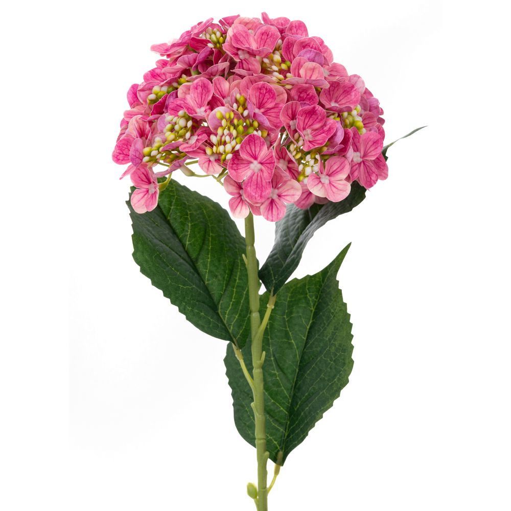 ΓΙΓΑΣ ΚΛΑΔΙ ΜΕ ΦΟΥΞΙΑ ΟΡΤΑΝΣΙΑ REAL TOUCH Φ18Χ61,5ΕΚ