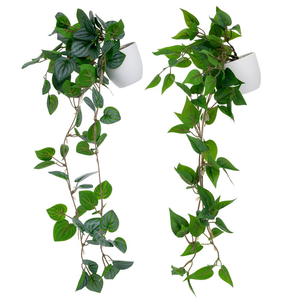 ΠΡΑΣΙΝΑΔΑ ΣΕ ΠΛΑΣΤΙΚΟ ΚΑΣΠΩ ΣΕ 2 ΣΧΕΔΙΑ 20Χ42 8Χ8ΕΚ