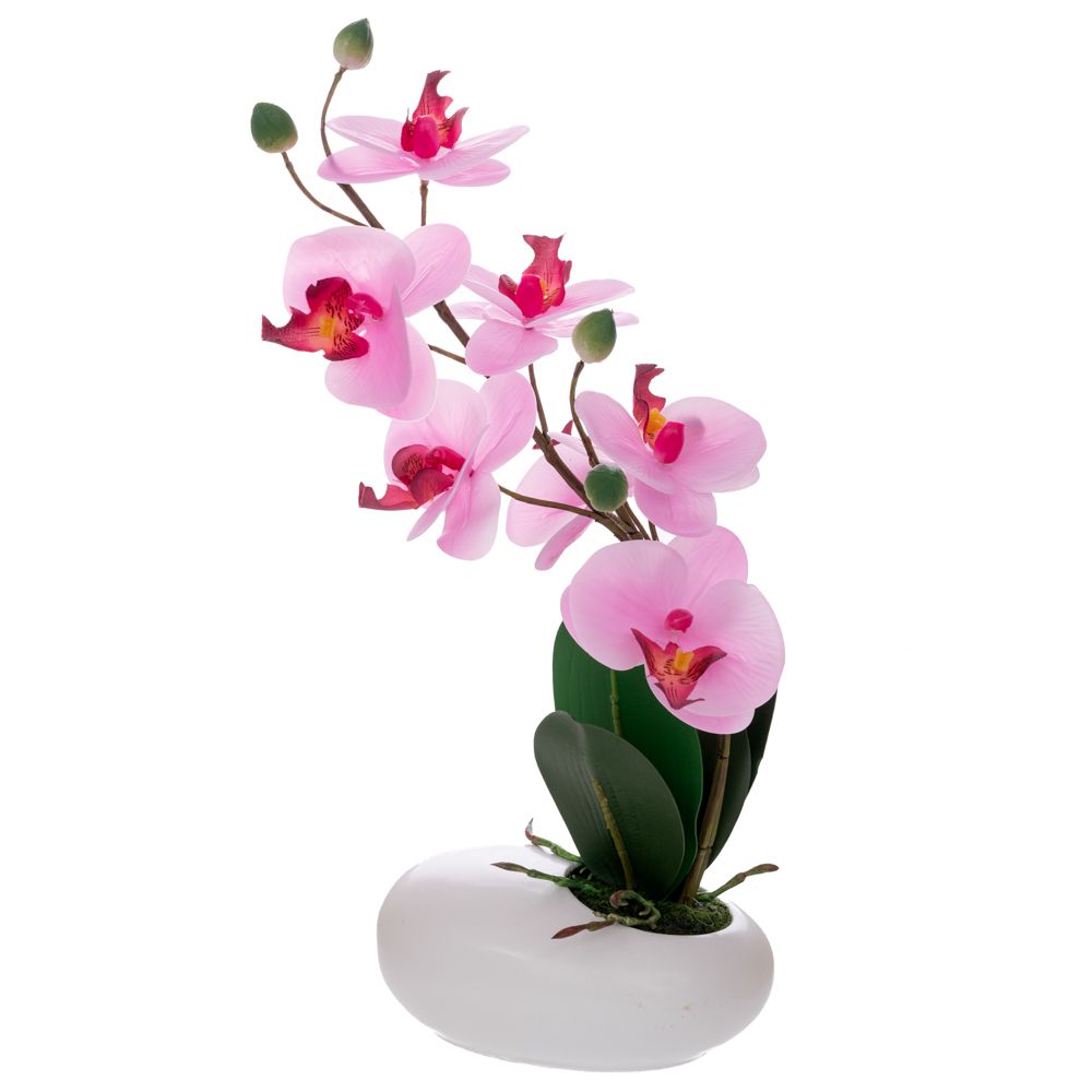 ΡΟΖ ΟΡΧΙΔΕΑ PHALAENOPSIS ΣΕ ΛΕΥΚΗ ΚΕΡΑΜΙΚΗ ΒΑΣΗ 30ΕΚ