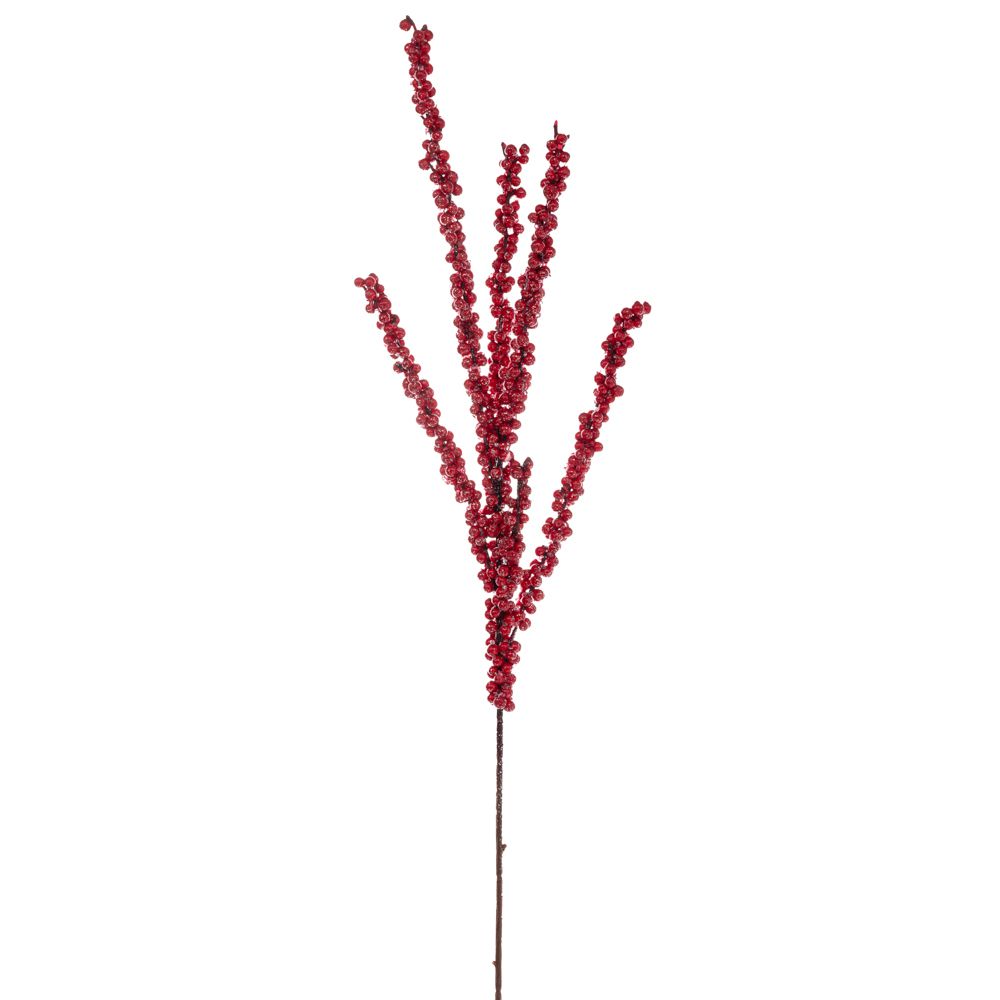 ΚΛΑΔΙ ΜΕ KOKKINA BERRIES 86 ΕΚ