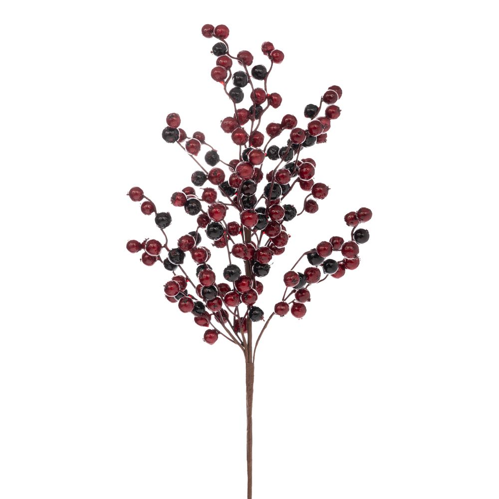 ΚΛΑΔΙ ΜΕ KOKKINA BERRIES 60 ΕΚ