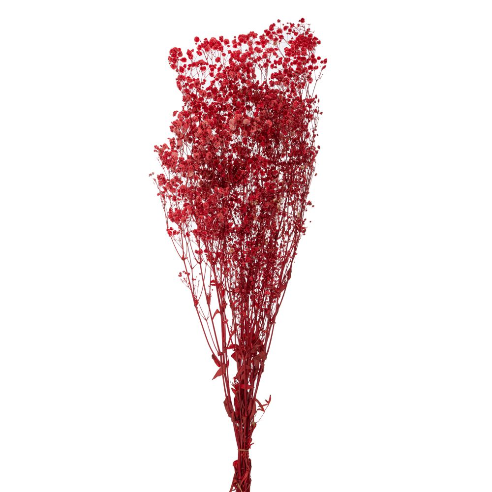 ΚΟΚΚΙΝΟ ΜΠΟΥΚΕΤΟ ΓΥΨΟΦΙΛΛΗ 120gr